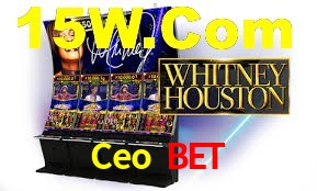 Sports Statistics Ceo Bet