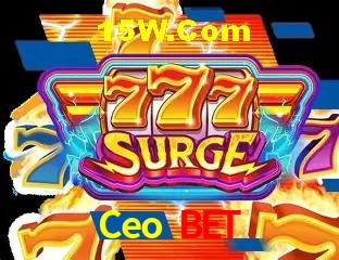 Ceo Bet - Login Methods